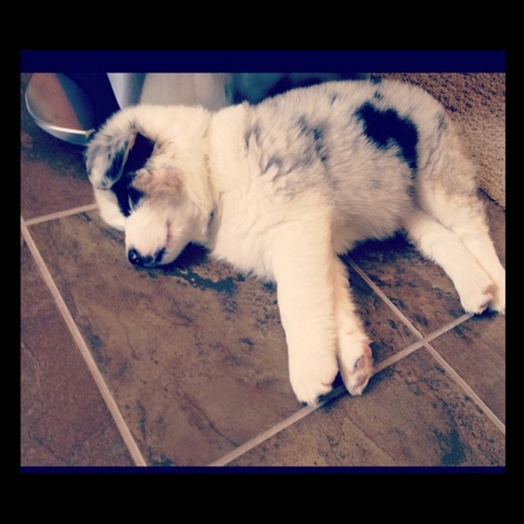 Meet your Posher - Picture 2 of 3